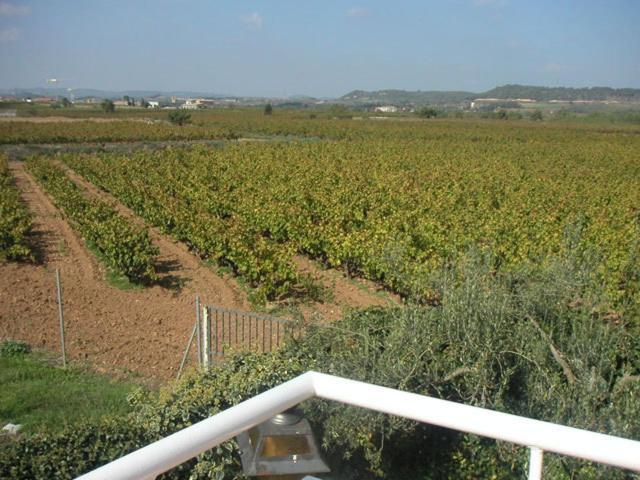 הוילה Pla del Panadés Casa Fontanals חדר תמונה